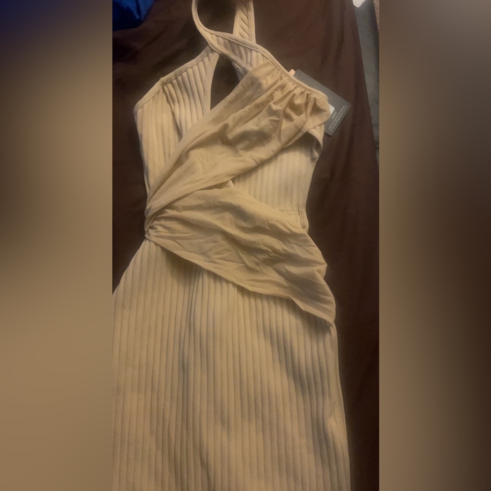 Nude Petite Dress
